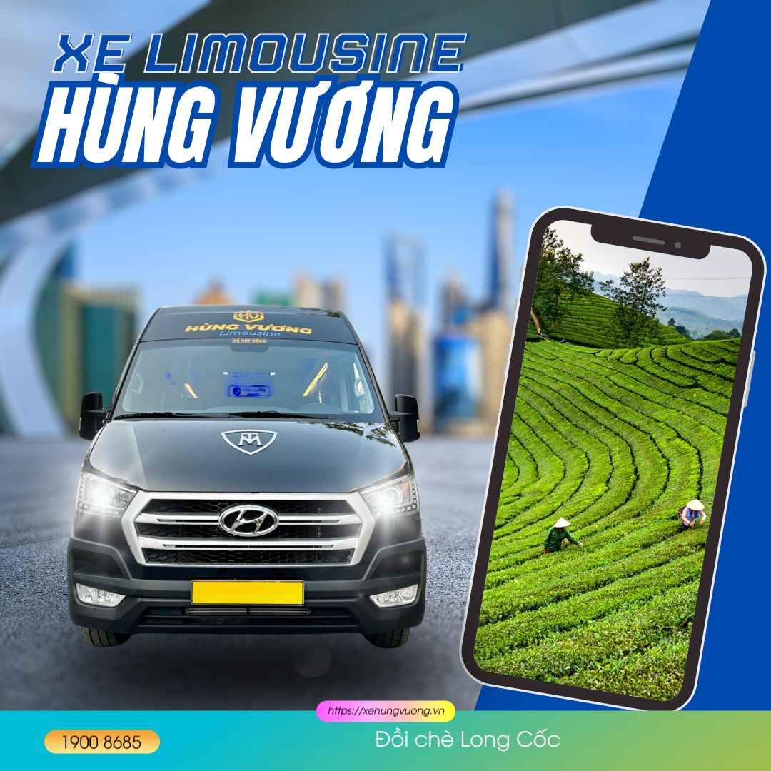 Kinh nghiệm du lịch Phú Thọ từ A-Z: Đi đâu, ăn gì, ở đâu? 3 Đồi chè Long Cốc