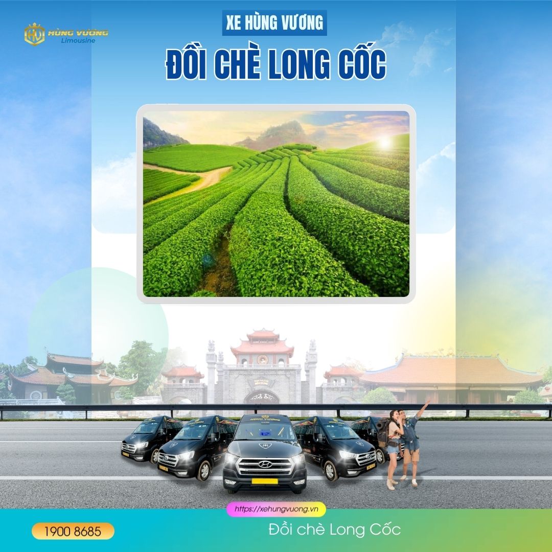 Du lịch Phú Thọ có gì chơi? Những trải nghiệm không thể bỏ lỡ 3 doi che long coc 2